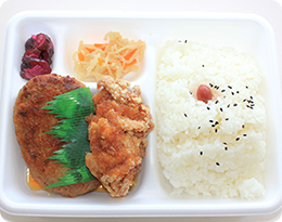 ダブルおろし弁当